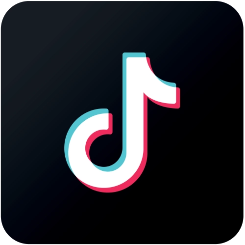 OwnFollow-TikTok